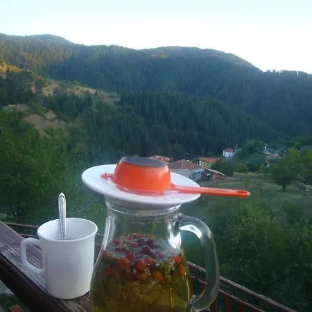 Guest house Momchil Unak